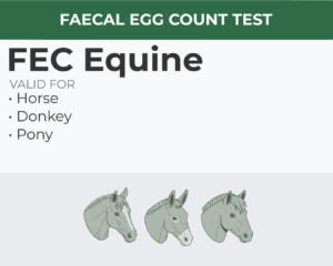 FEC Equine