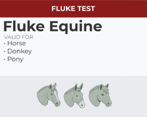 Fluke Equine
