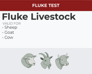 Fluke Livestock