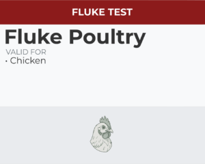 Fluke Poultry