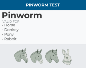 Pinworm