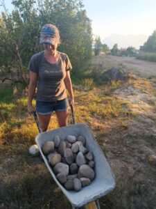 WhatsApp Image 2026-01-10 at 17.03.23