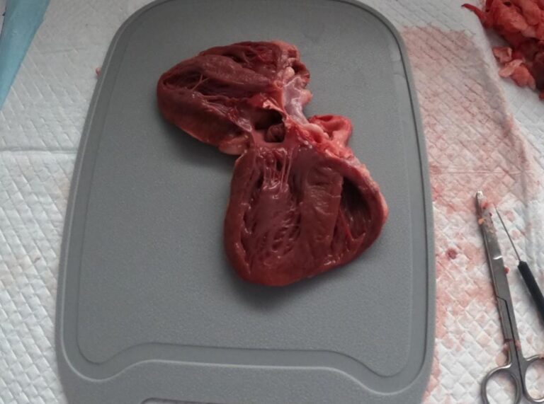 WhatsApp Image 2026-01-10 at 18.03.16 (1)