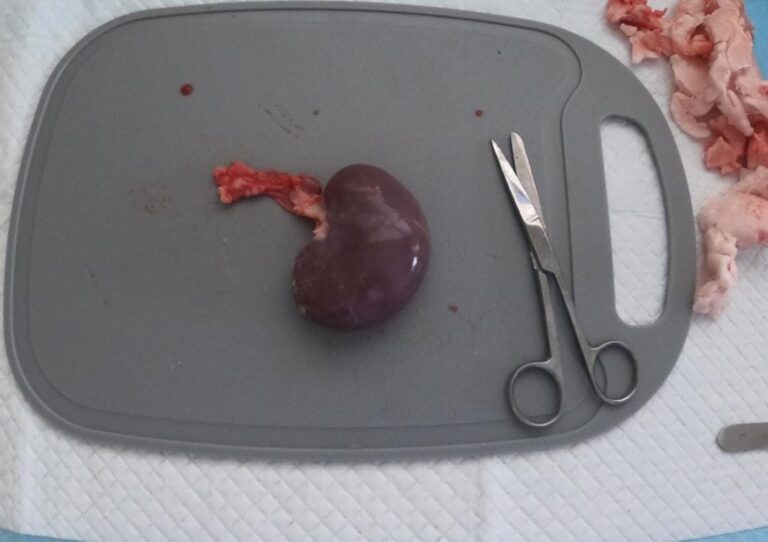 WhatsApp Image 2026-01-10 at 18.03.16 (2)