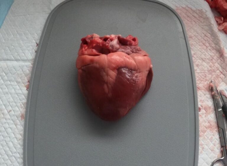 WhatsApp Image 2026-01-10 at 18.03.16