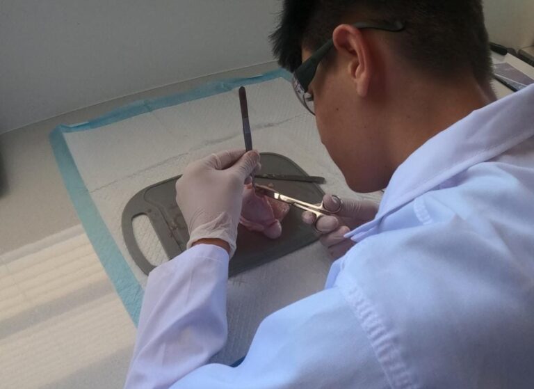 WhatsApp Image 2026-01-10 at 18.03.17 (1)