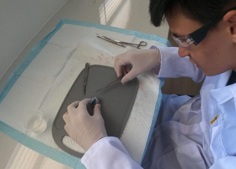 WhatsApp Image 2026-01-10 at 18.03.17 (2)