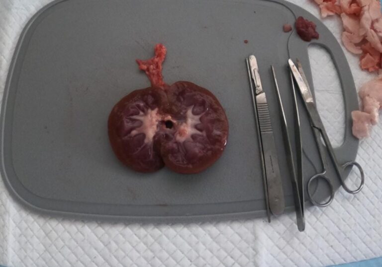 WhatsApp Image 2026-01-10 at 18.03.17