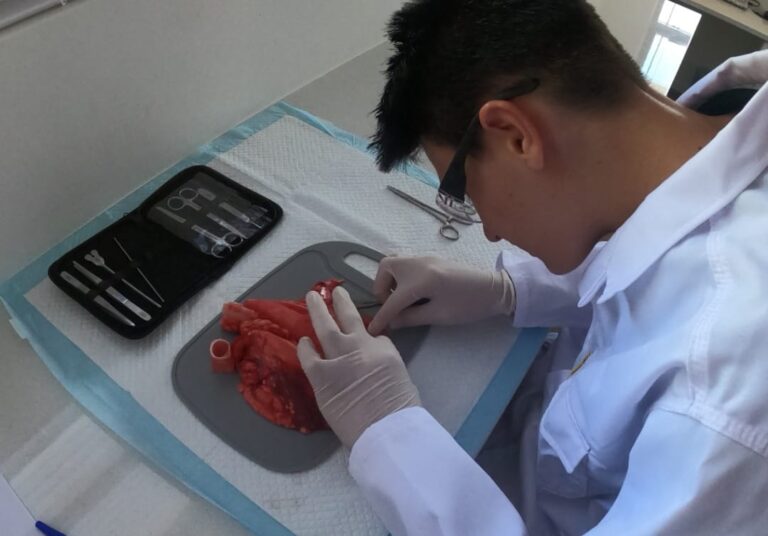 WhatsApp Image 2026-01-10 at 18.03.19 (1)