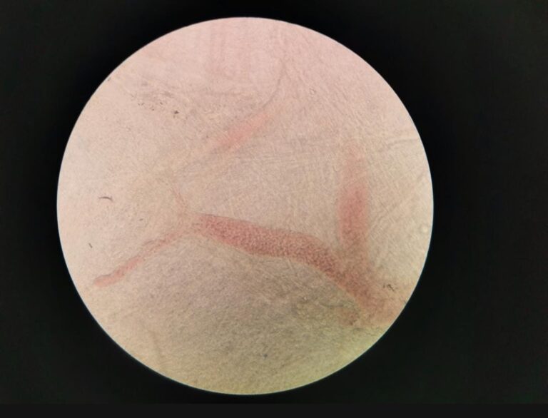 WhatsApp Image 2026-01-10 at 18.18.09